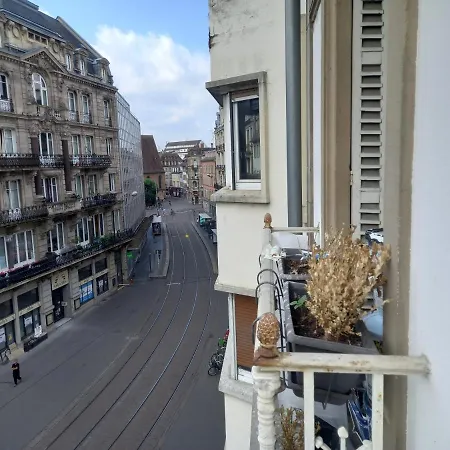 Grand Au Coeur De Appartement