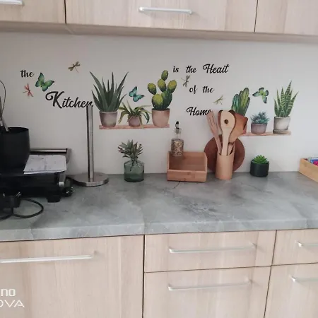 Appartement Grand Au Coeur De Strasbourg